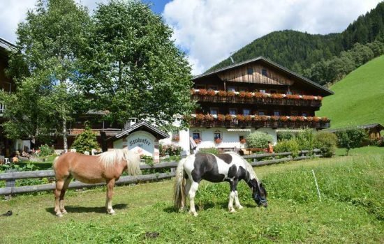 Kradorferhof a S. Maddalena / Val Casies - Alto Adige