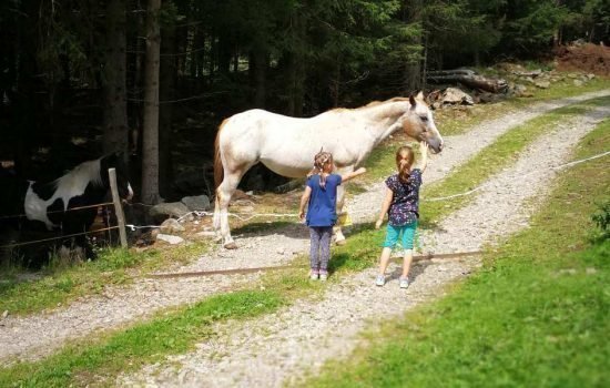 Kradorferhof in St.Magdalena - Gsiesertal / Südtirol