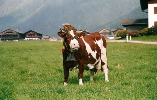 Kradorferhof in St.Magdalena - Gsiesertal / Südtirol