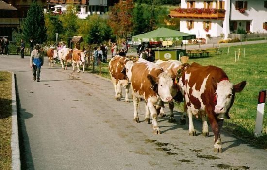 Kradorferhof a S. Maddalena / Val Casies - Alto Adige