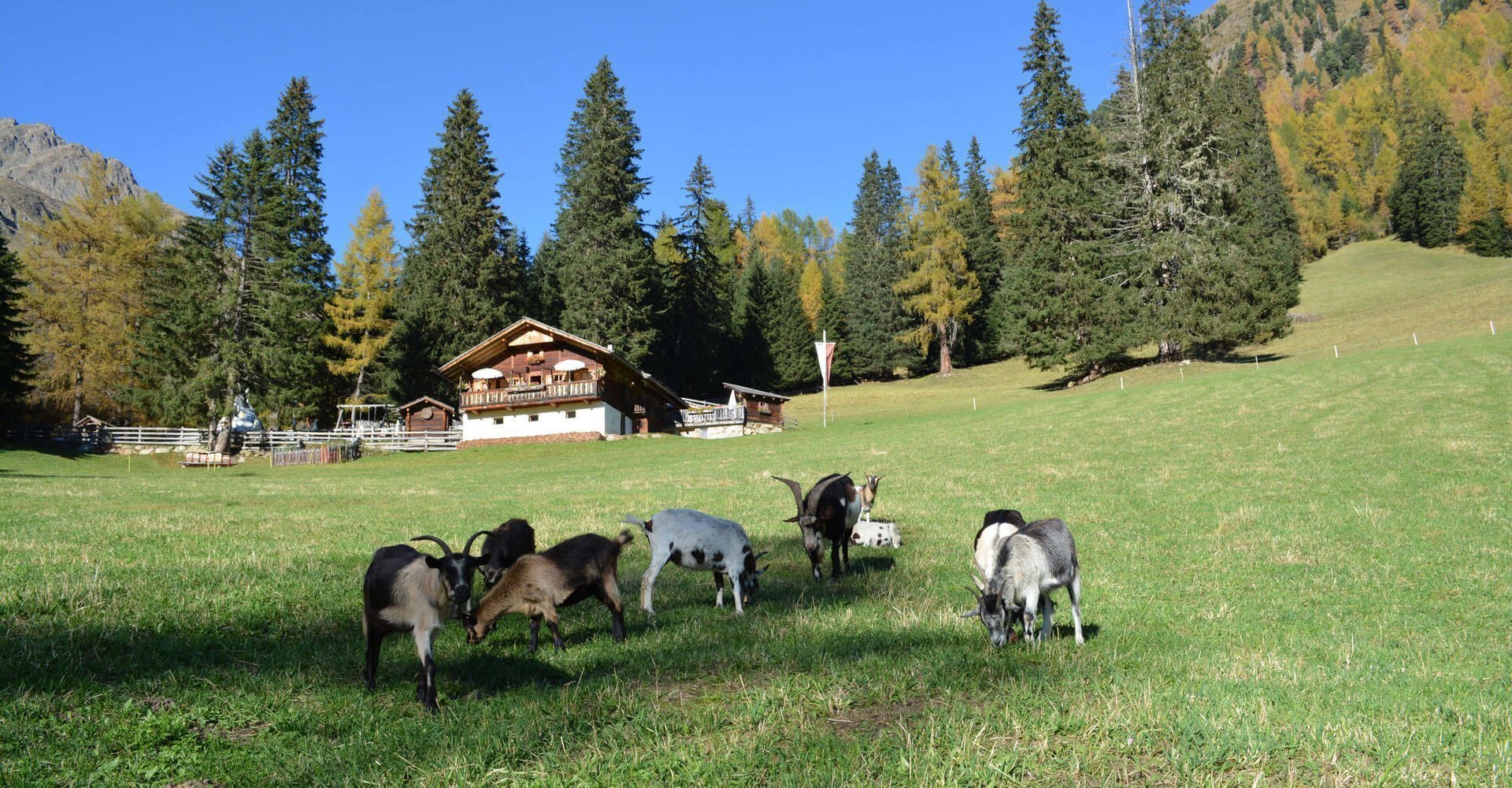 urlaub-auf-dem-bauernhof-gsiesertal