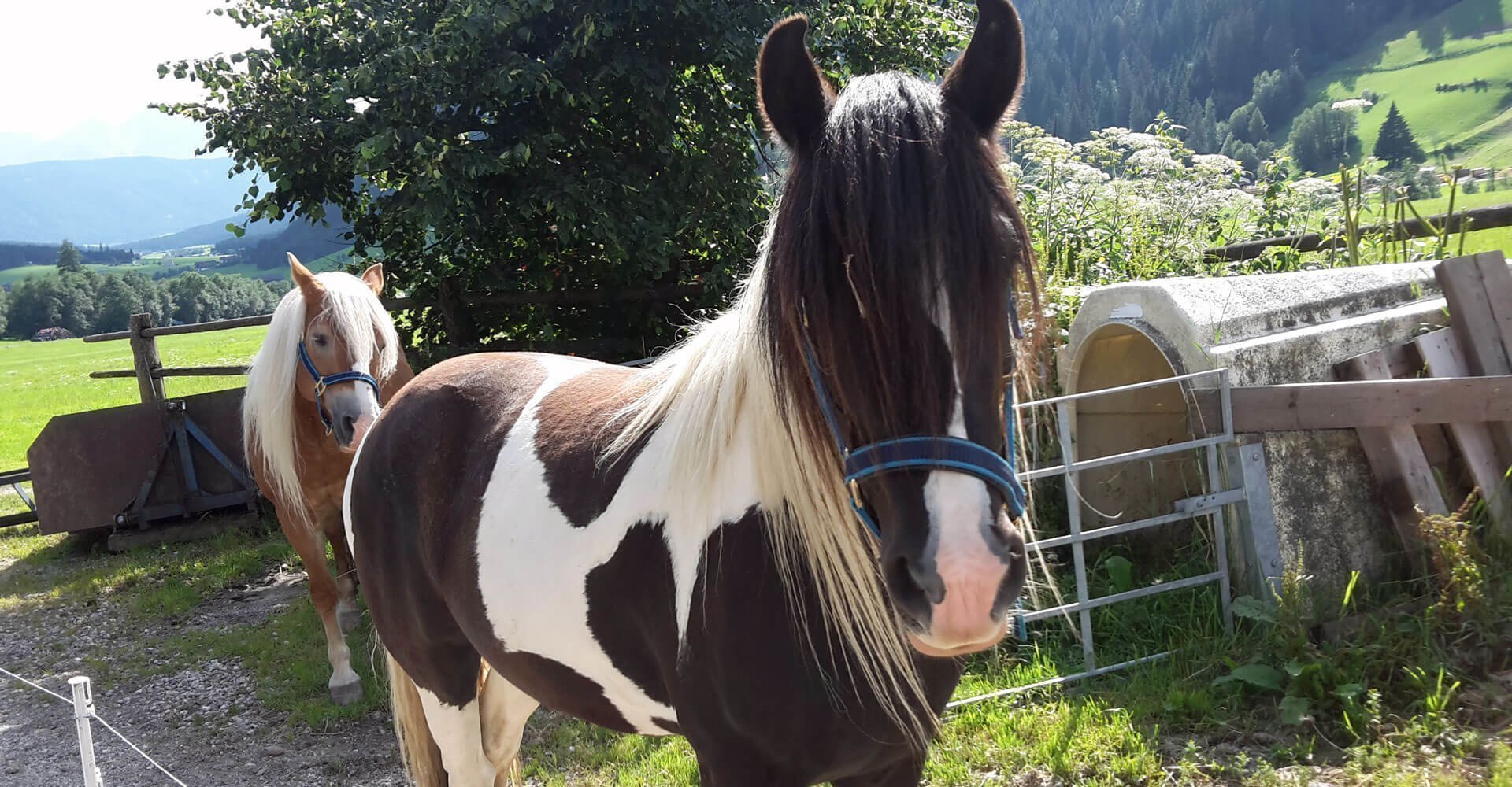 urlaub-auf-dem-bauernhof-gsiesertal