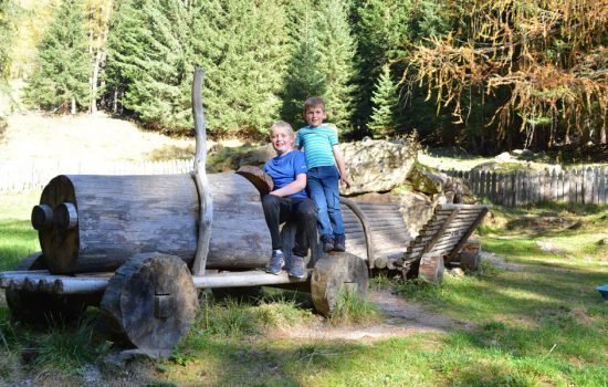 Unbeschwertes Familienerlebnis auf dem Bauernhof