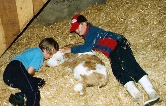 Unbeschwertes Familienerlebnis auf dem Bauernhof